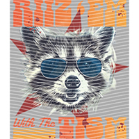 Raccoon-WX 188